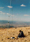 baldy1.gif (51920 bytes)
