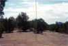 fd9901.jpg (64999 bytes)