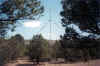 fd9902.jpg (86474 bytes)